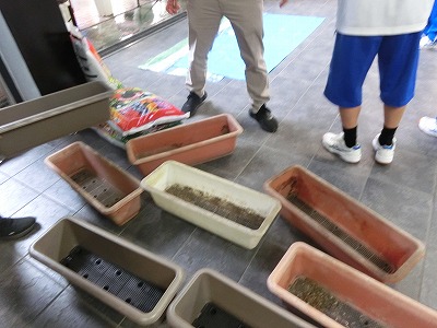 中央DASH3
