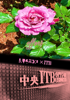 下野.png