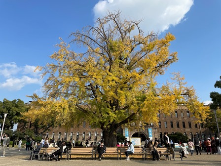 山野.JPG