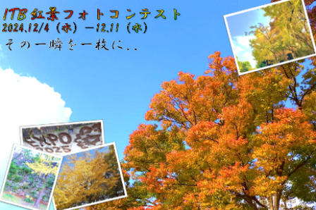 松村.png